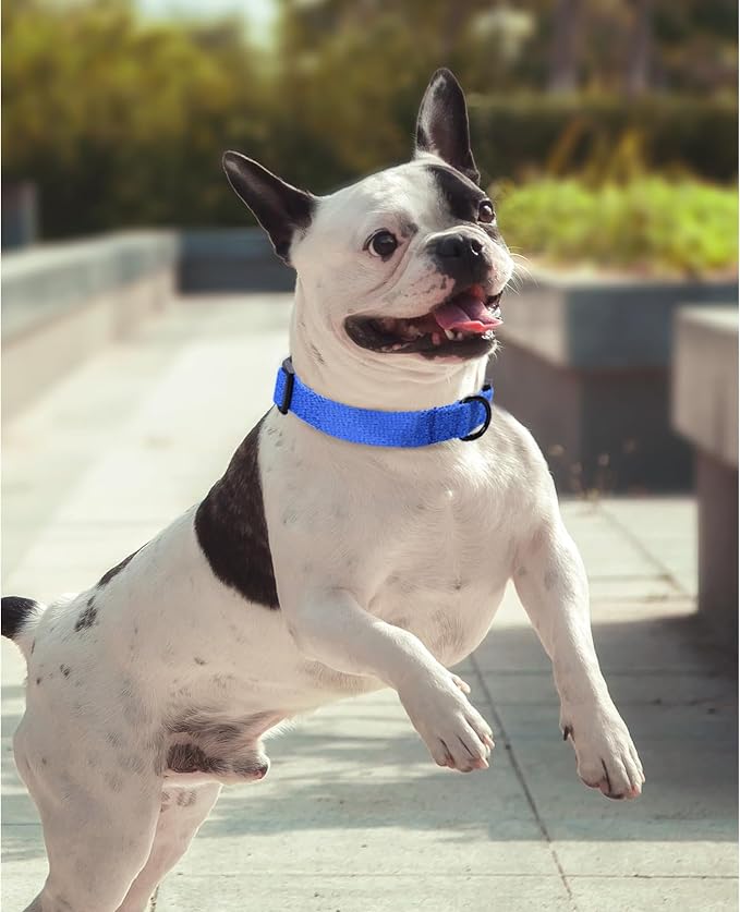 Mile High Life Soft & Strong Poly Cotton Adjustable Dog Collar with Quick Release Buckle for Small to Large Dogs(Blue, Large Neck 15"-19")