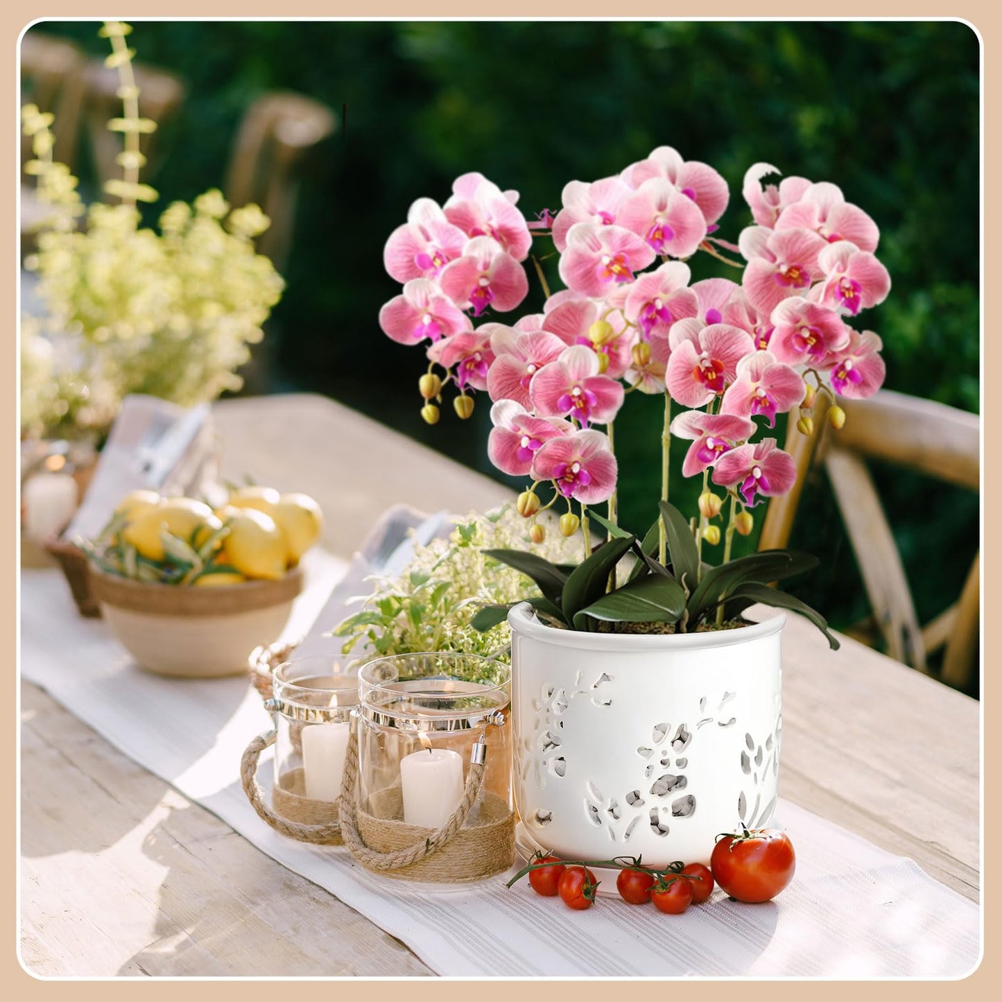 FoldTier 2 Pack 6.5 Inch Large Orchid Pot with Holes and Saucer for Root Health with Precise Aeration and Drainage, Ceramic Orchid Planter Pot for Repotting or New Plants Indoor Outdoor Use(White)