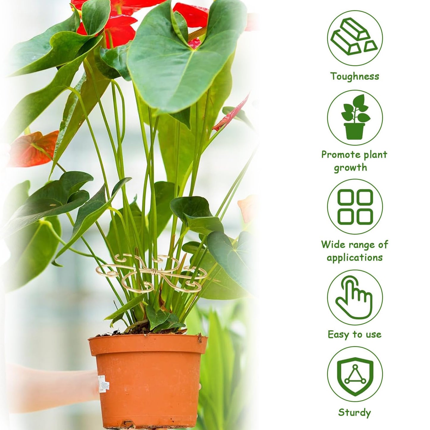 5 Pcs Plant Stem Support, Iron Monstera Plant Support, Durable Hook Stem Supports for Healthy Growth, Bamboo Clamp Set for Leaf Stabilization and Support, Ideal Present for Plant Lovers (5.5IN*5.5IN)