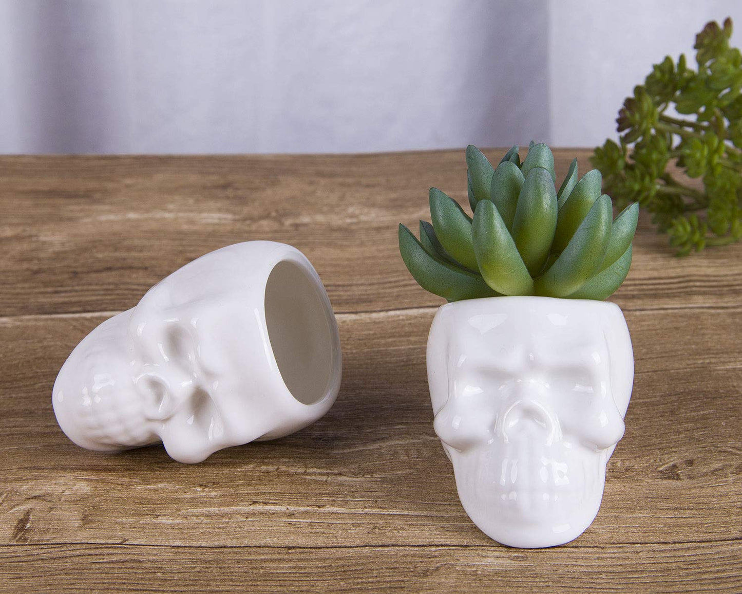 VanEnjoy Set of 3 Ceramic Skull Succulent Pots and Planters Creative Cactus Plant Pot Pen Pencil Holder, Home Office Bedroom Desk Decoration