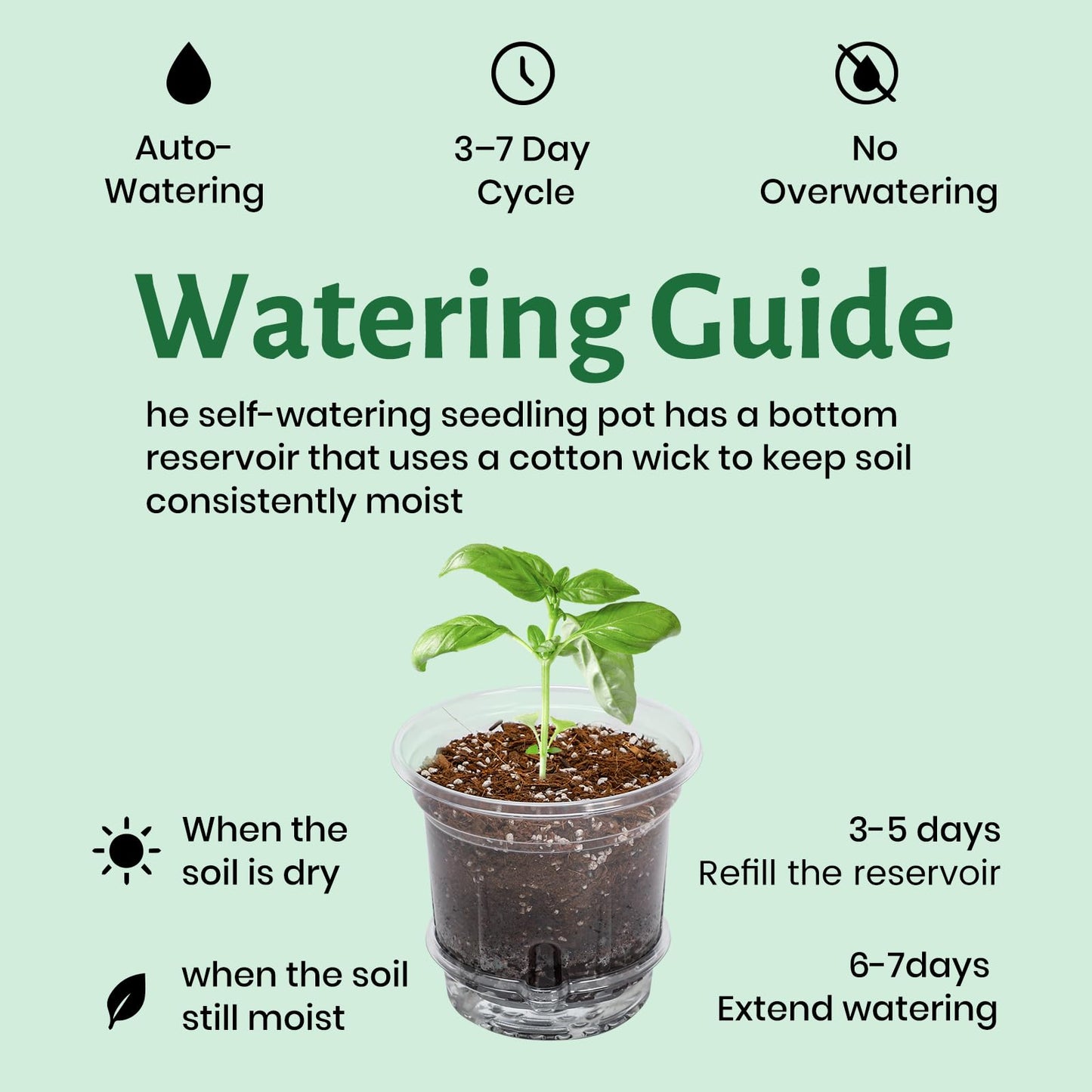 Bluepro 20 Pack 5 Inch Clear Self Watering Plant Pots with Bottom Water Tray & Watering Rope, Transparent Nursery Pots with Drainage for Seedlings, Herbs, and Houseplants