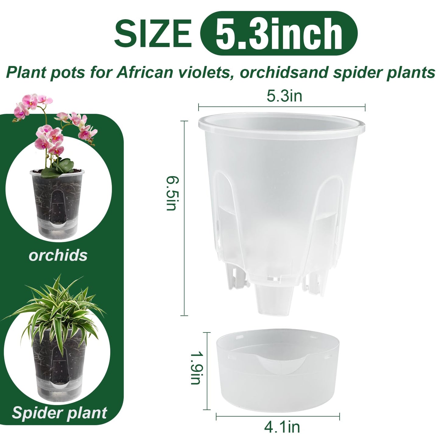 Cdd's Path Upgraded 5-Pack 6 Inch Naked Root Planter Self Watering Pots Set, Plant Pots with Holes for Indoor/Outdoor Plants with Watering Hole/Reservoir and Air Pipes, Clear