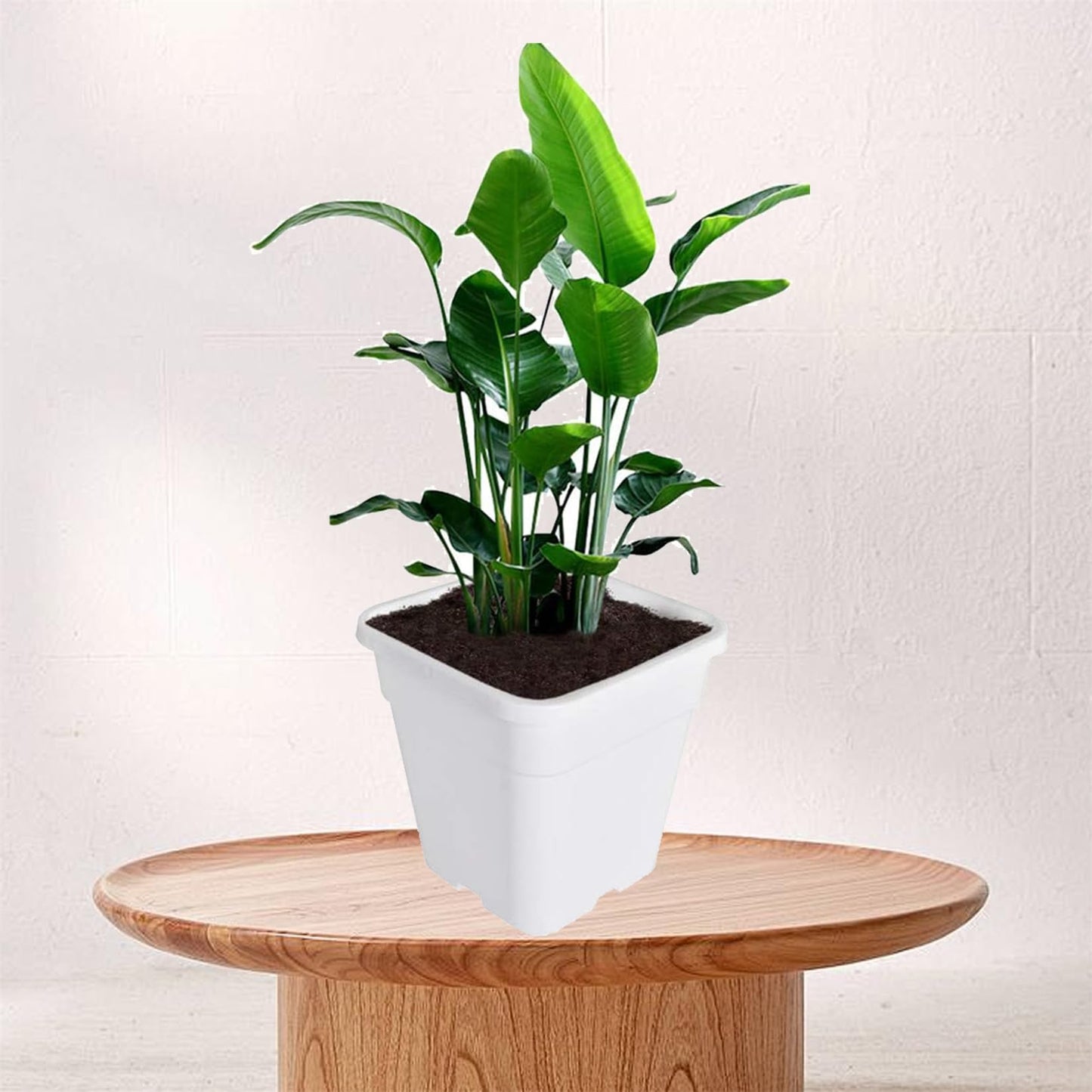 findmall 1 Gallon Square White Nursery Pots Plant Pots Grow Pots Nursery Container for Planting Soil Plants 10 Pcs