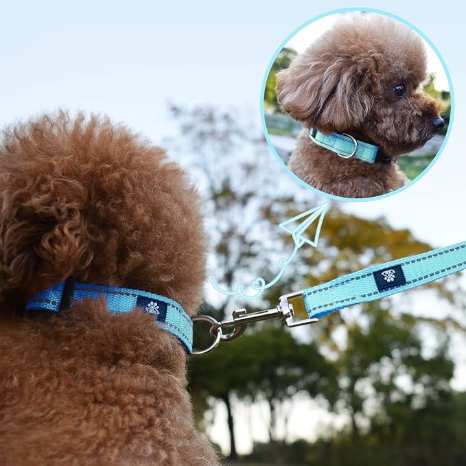 NESTROAD Dog Collar and Leash Set,Reflective Dog Collars with Quick Release Buckle,Adjustable Nylon Pet Collar for Small Medium Large Dogs(Medium,Blue)