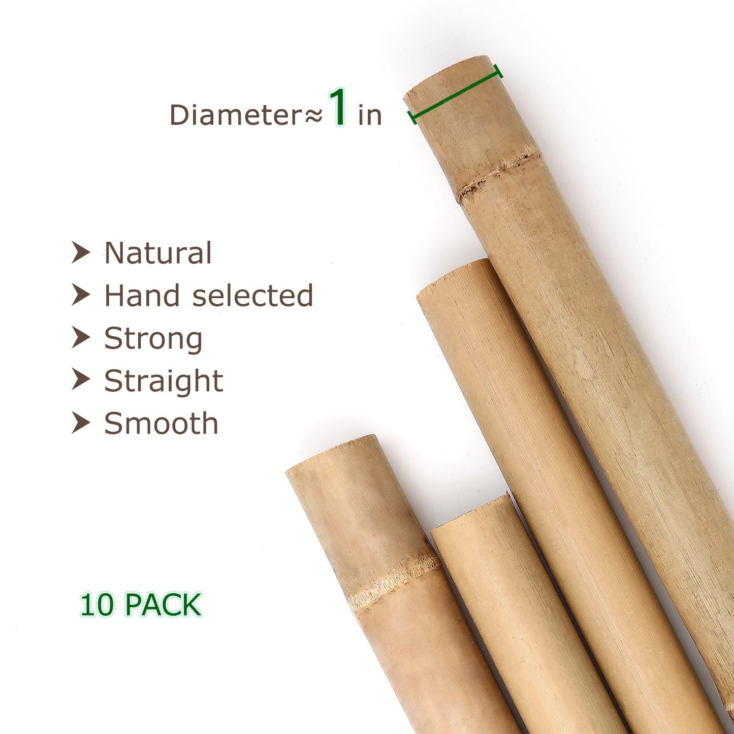 Cambaverd Bamboo Stakes 8 Feet, Diameter of 1 Inch Thicker Garden Stakes, Natural Plant Stakes for Tomatoes, Cucumbers, Grape Vine Climbing Plants Support and Natural Decoration - 10 Pack Bamboo Poles