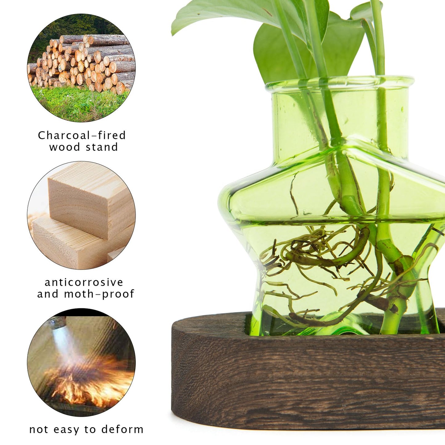 XXXFLOWER Plant Propagation Station with Wooden Stand，Air Plant Terrarium Starter Kits Star Vases for Flowers Plant Cutting Rooting Pots Indoor Hydroponic Glass Planter for Plant Lovers,3 Jars(Green)