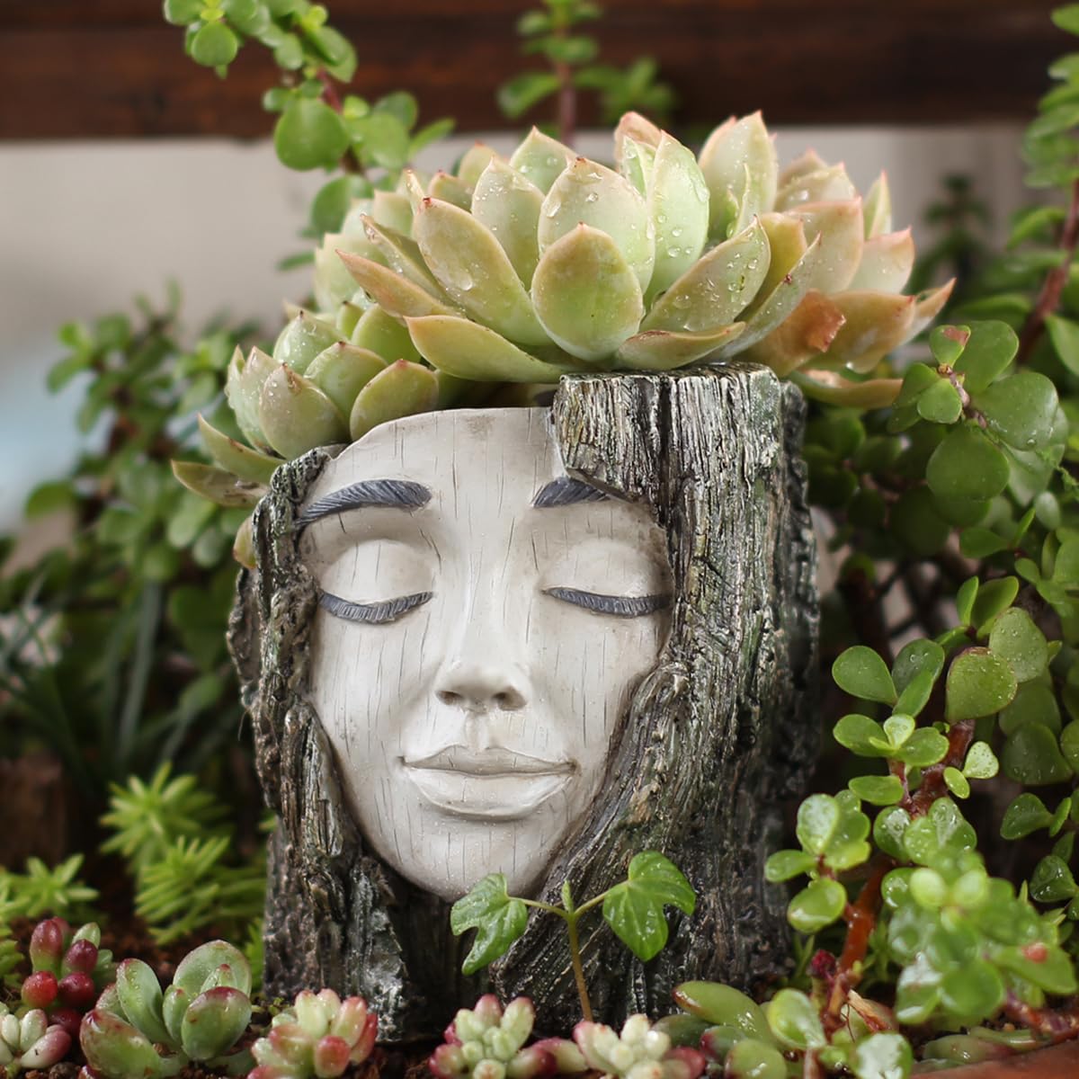 YOYLMAL Tree Stump Face Planter Pot, 4.9” Resin Women's Head Succulent Planter for Indoor Outdoor Plants, Unique Flower Pot with Drainage Hole, Gifts for Women Mom