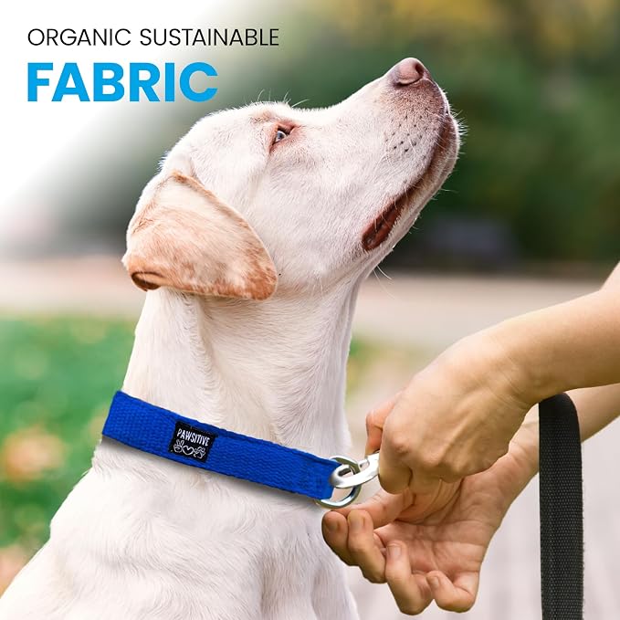 Hypoallergenic Dog Collar - Great for Sensitive Skin, Soft Collar for Dogs, Soft Organic & Earth Friendly (X-Large, Light Blue)