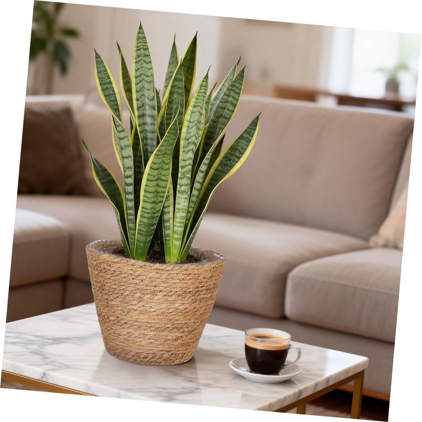 BESPORTBLE 2Pcs Wicker Planter Basket Straw Woven Flower Basket for Indoor Outdoor Plant Storage Decorative Rustic Home Garden Use 9X9X6.5 Inch