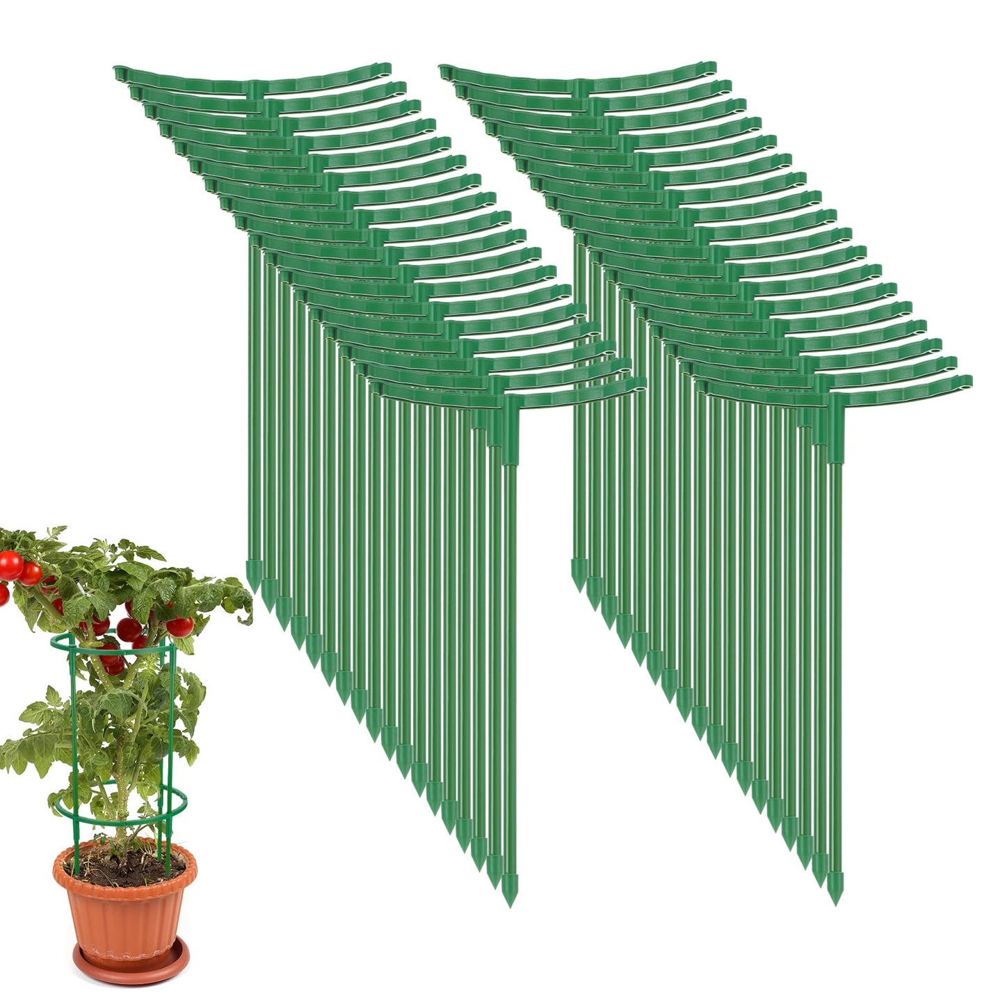 Hoemwarm 36 Pcs Plant Support Stakes, Half Round Plant Support for Indoor Plants Stackable Plant Holder Stick Plastic 9.8 Inch Plant Stakes for Tomato, Monstera, Peony, Hydrangea Climbing Plants