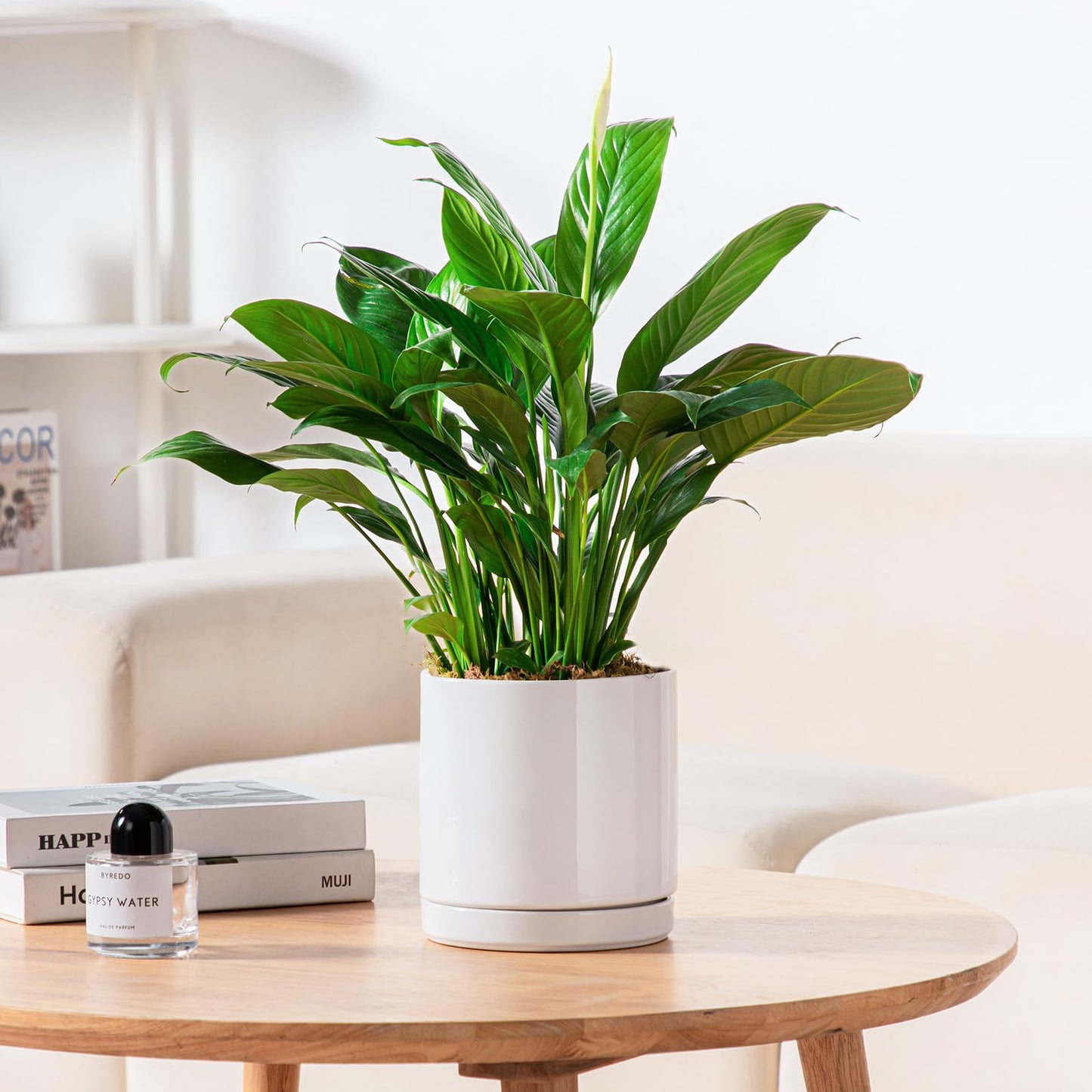 vancasso Ceramic Plant Pots, 6 Piece Planters for Indoor Plants, 4.25+5.25+6.25 Inch Flower Pots with Drainage