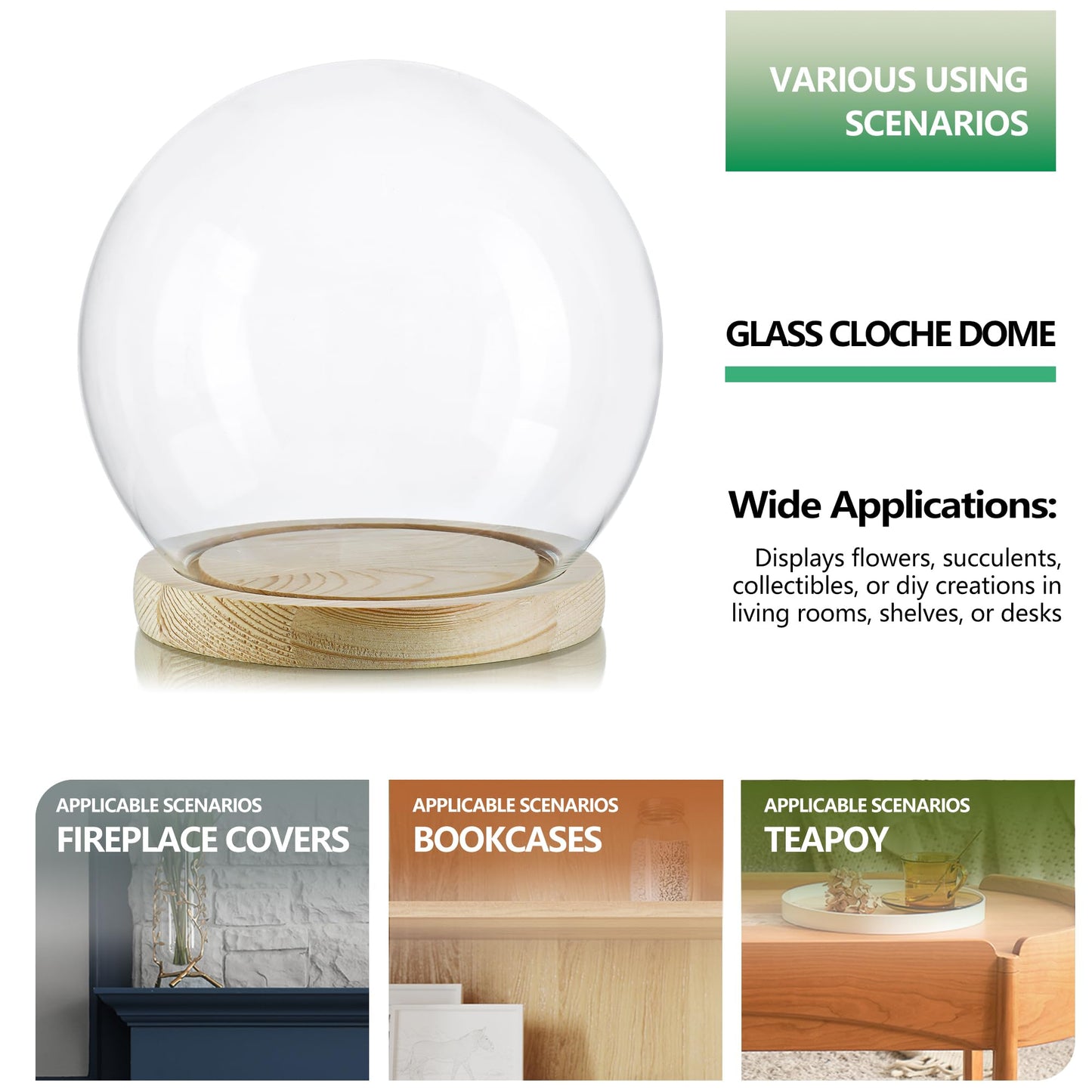 ZEERSHEE Round Globe Cloche Glass Dome with Wooden Base, 6" Glass Display Dome for Succulents, Plants & Keepsakes, Decorative Sphere Cloche Bell Jar for Collectibles & Home Decor