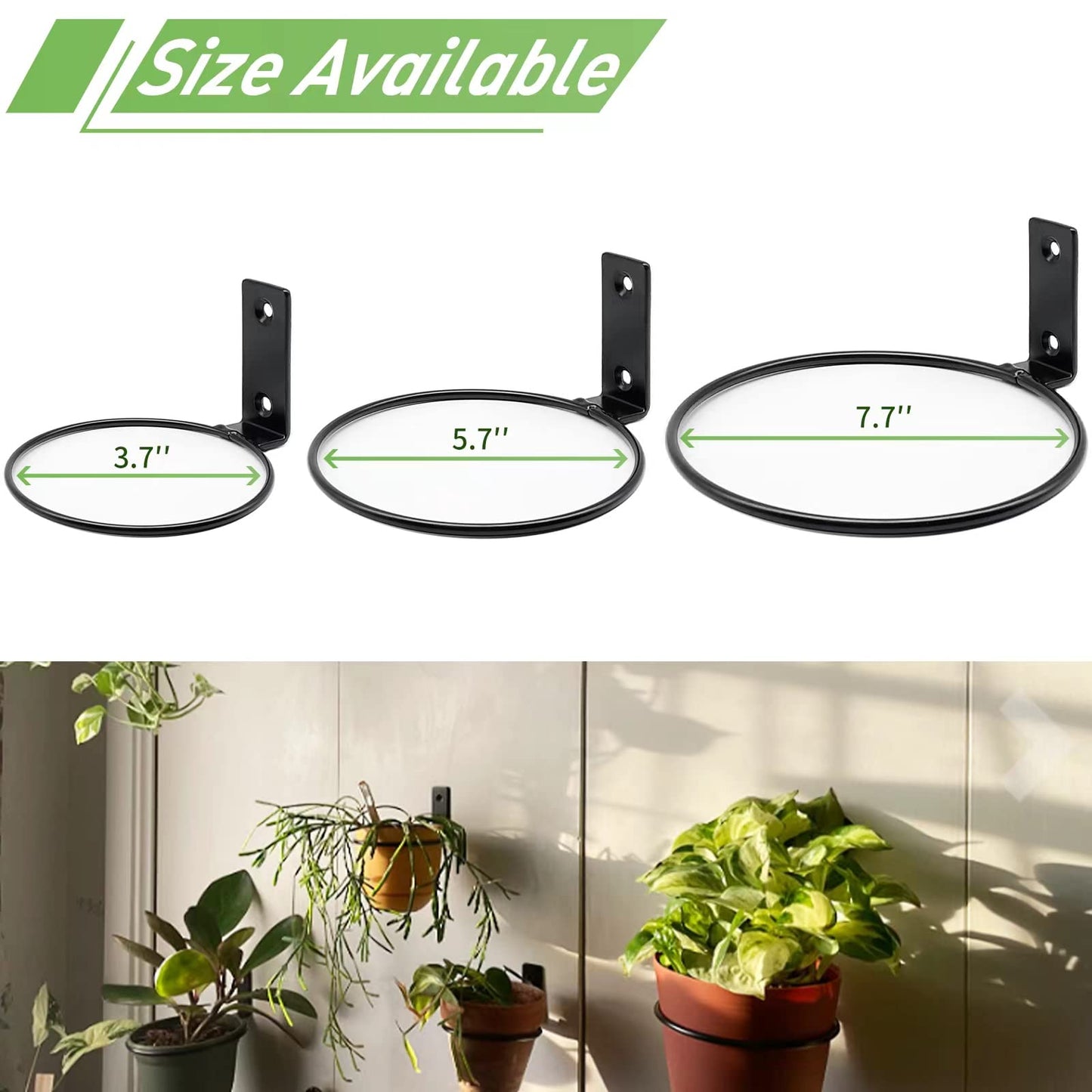 Greemov 6 Pack 4 Inch Wall Flower Pot Holder Ring Plant Hanger, Metal Planter Hooks Wall Mounted Bracket Heavy Duty for Outdoor Indoor