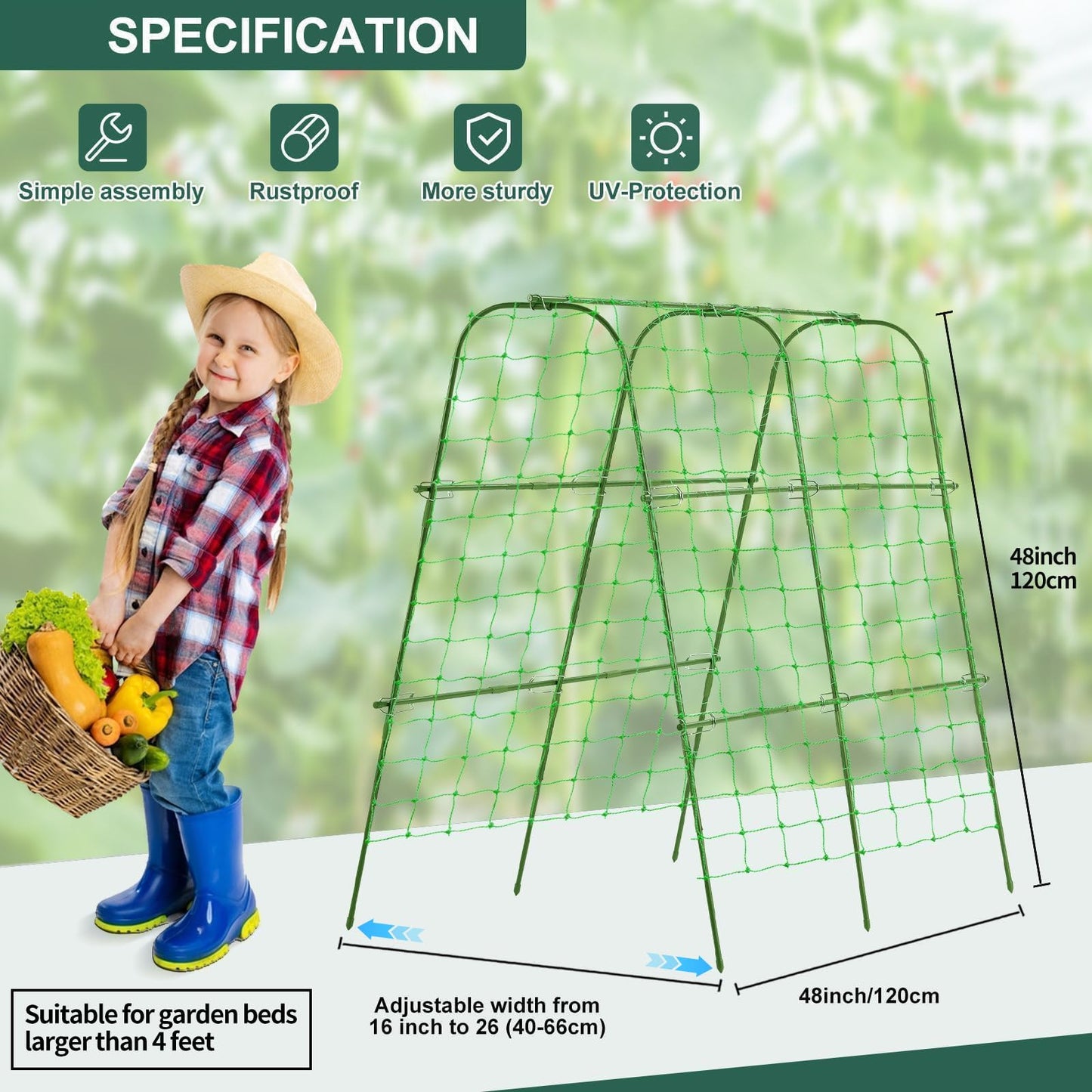 FOLLOOK Cucumber Trellis for Raised Garden Bed, Rustproof Metal Garden Arch Trellis for Climbing Plants Support Outdoor Fruit Grape Vine Vegetable Tomato Pole Bean Snap Pea Trellis, 48x48inch, Green