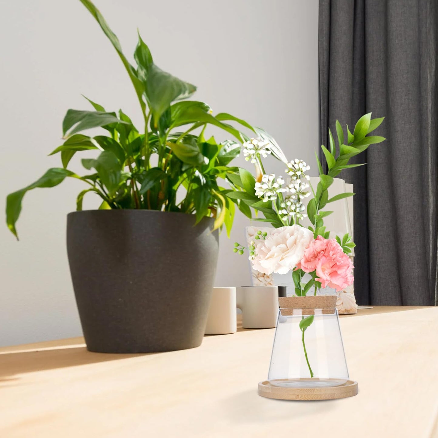 IMIKEYA Hydroponic Glass Flower Vase with Wooden Stopper and Tray, Ecological Plant Terrarium Bottle for Office Desktop Decoration and Indoor Gardening