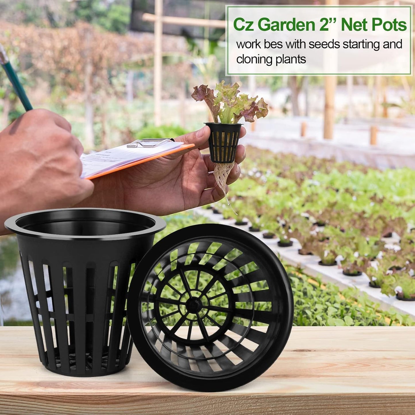 100PCS 2 inch Net Cups Pots, with 20 Plant Labels for Hydroponics Aquaponics Planter Indoor Outdoor Growing Baskets Slotted Mesh