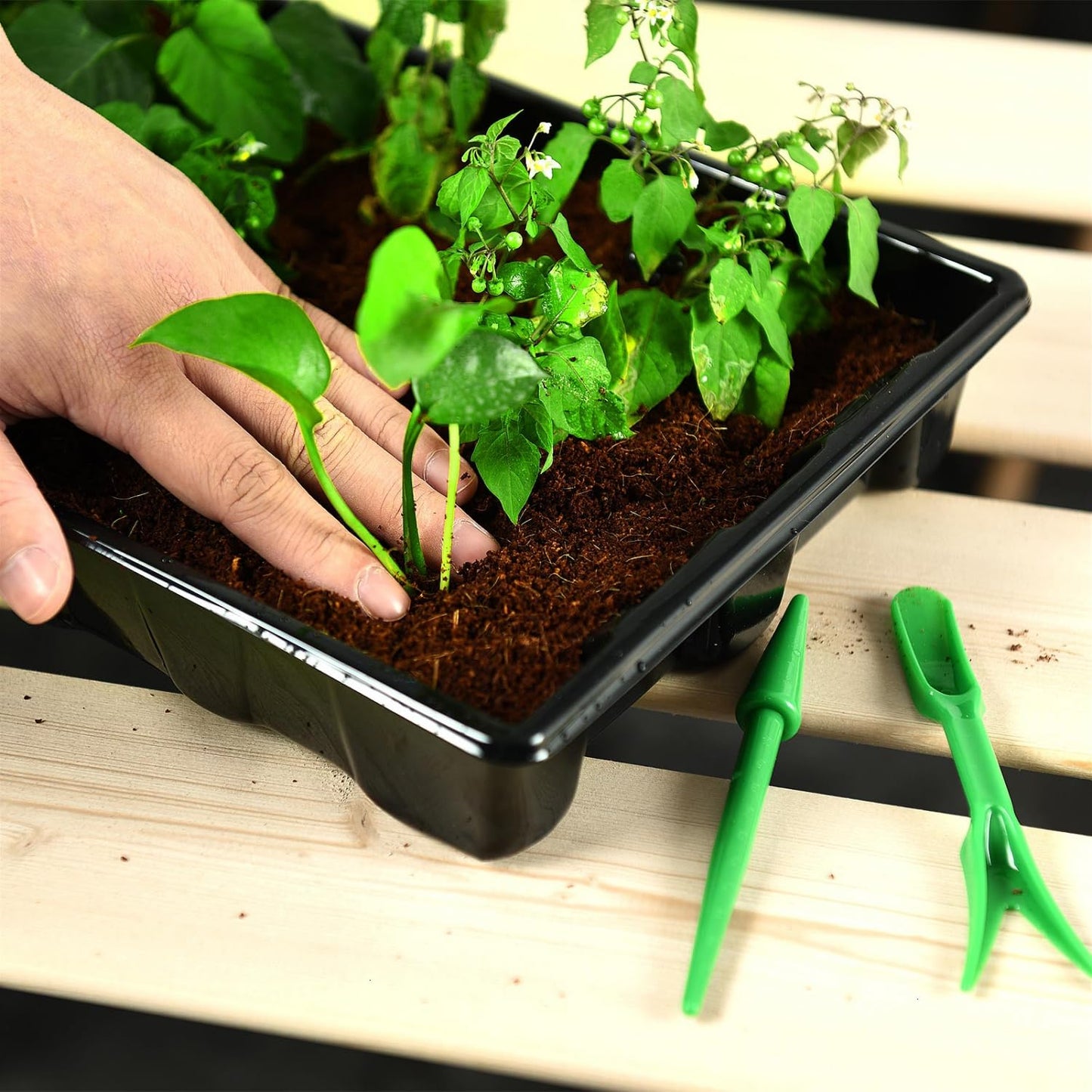 YoleShy 5 Packs Seed Starter Tray with Dome Reusable Plastic Plant Growing Trays with Humidity Domes Thickened Sturdy for Seed Starting Germination Growing Seedling Propagation,14.5"x9"