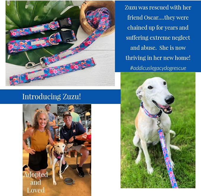 Lucky Love Dog Martingale Dog Collar - Adjustable, No-Slip, Durable, & Soft Webbing Collar for Male and Female Dogs Ideal for Training & Walking - Zuzu, Small