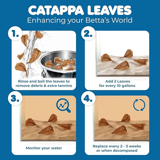 SunGrow 100 pcs Catappa Indian Almond Leaves for Betta Fish Tank Aquarium, 2” Water Conditioner Leaves, Leaf Also Suitable for Shrimp, Goldfish, Guppy and Frogs