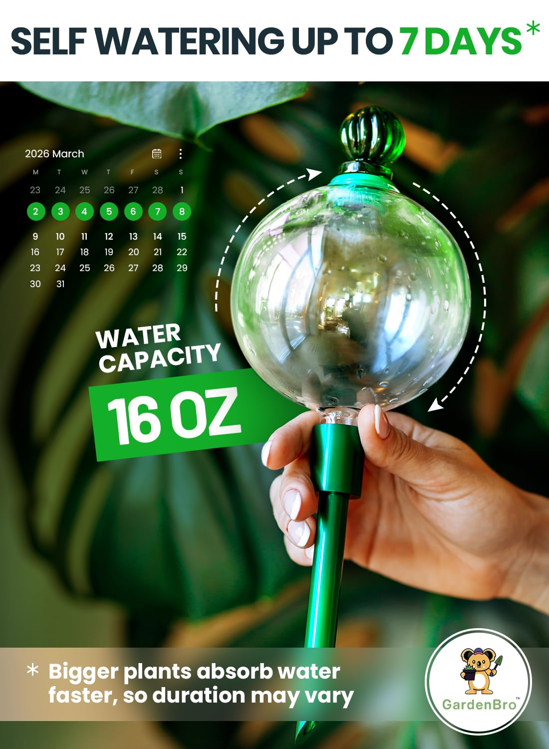 4pcs 16 Oz Plant Watering Globes for Indoor Plants with Metal Self Watering Planter Insert - Premium XL Glass Hand-Blown Globes - Automatic Plant Waterer Indoor, Gift Idea for Gardeners [4, Clear]