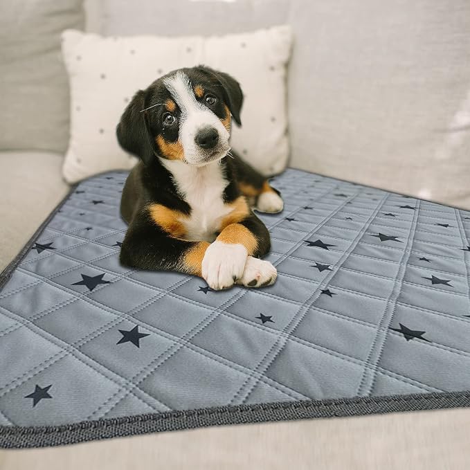 RIOUSSI Washable Pee Pads for Dogs, Reusable, Absorbent, Leakproof, Non Slip Pet Puppy Pads for Potty Training. Gray Stars, 18x24 Inch(8pack)