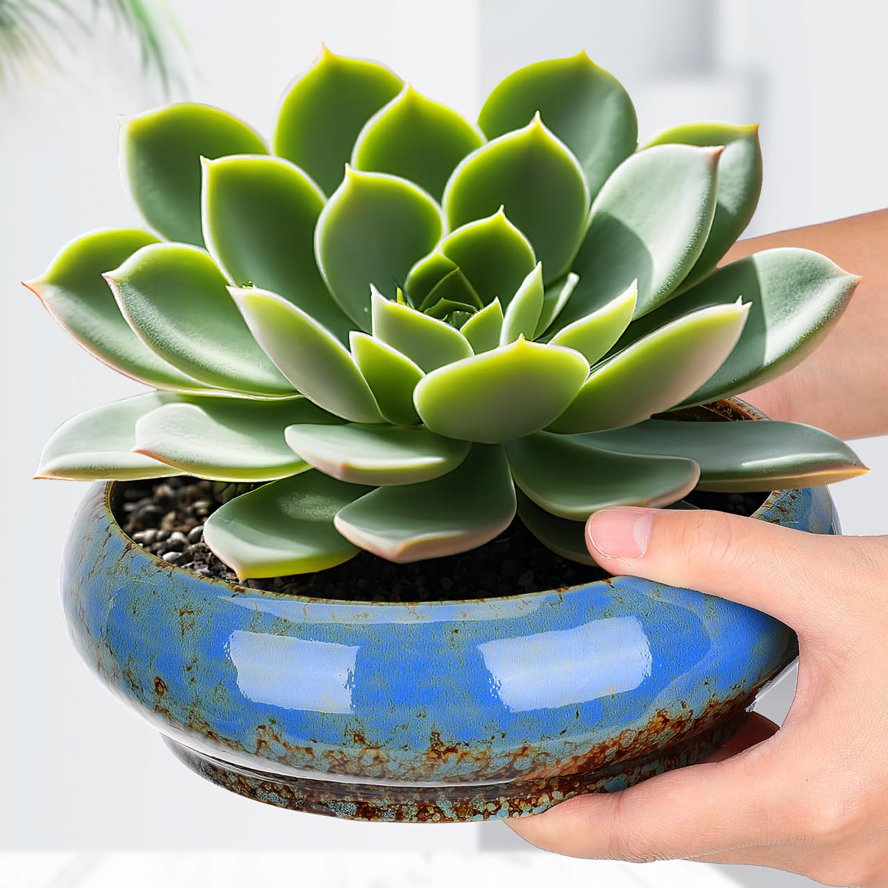 Leak-Proof Lotus Bowl Round Hydroponic Plants Pot Ceramic Planter Gardenin Succulent Pot Bonsai Planter for Outdoor Daffodil Flowerpot 7.28 Inch, Random Color