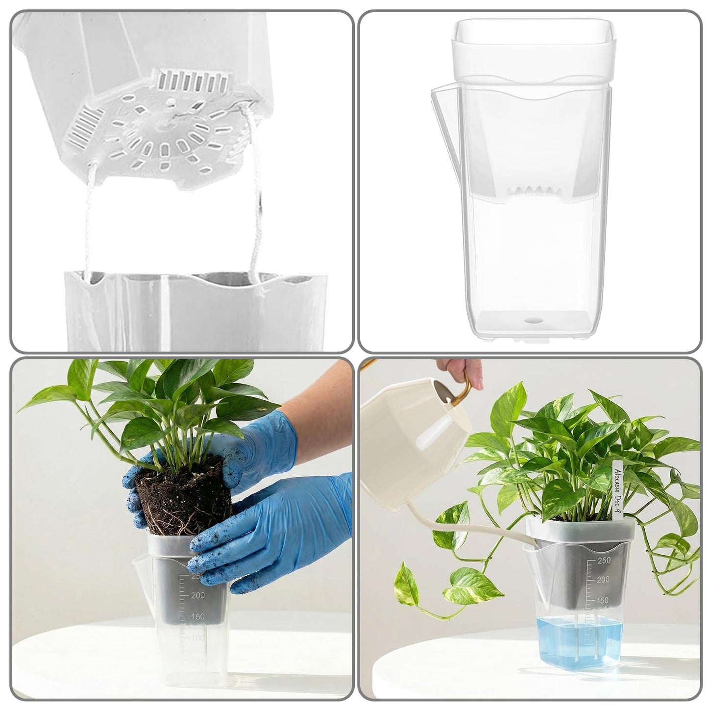 Addcean Self Watering Pots for Indoor Plants, 12pcs 2.5" Clear Plastic Planters Flower Pots for Cuttings, Seedlings, African Violets, Herbs, Mini Flowerpot with Measuring Cup & 12 Plant Labels