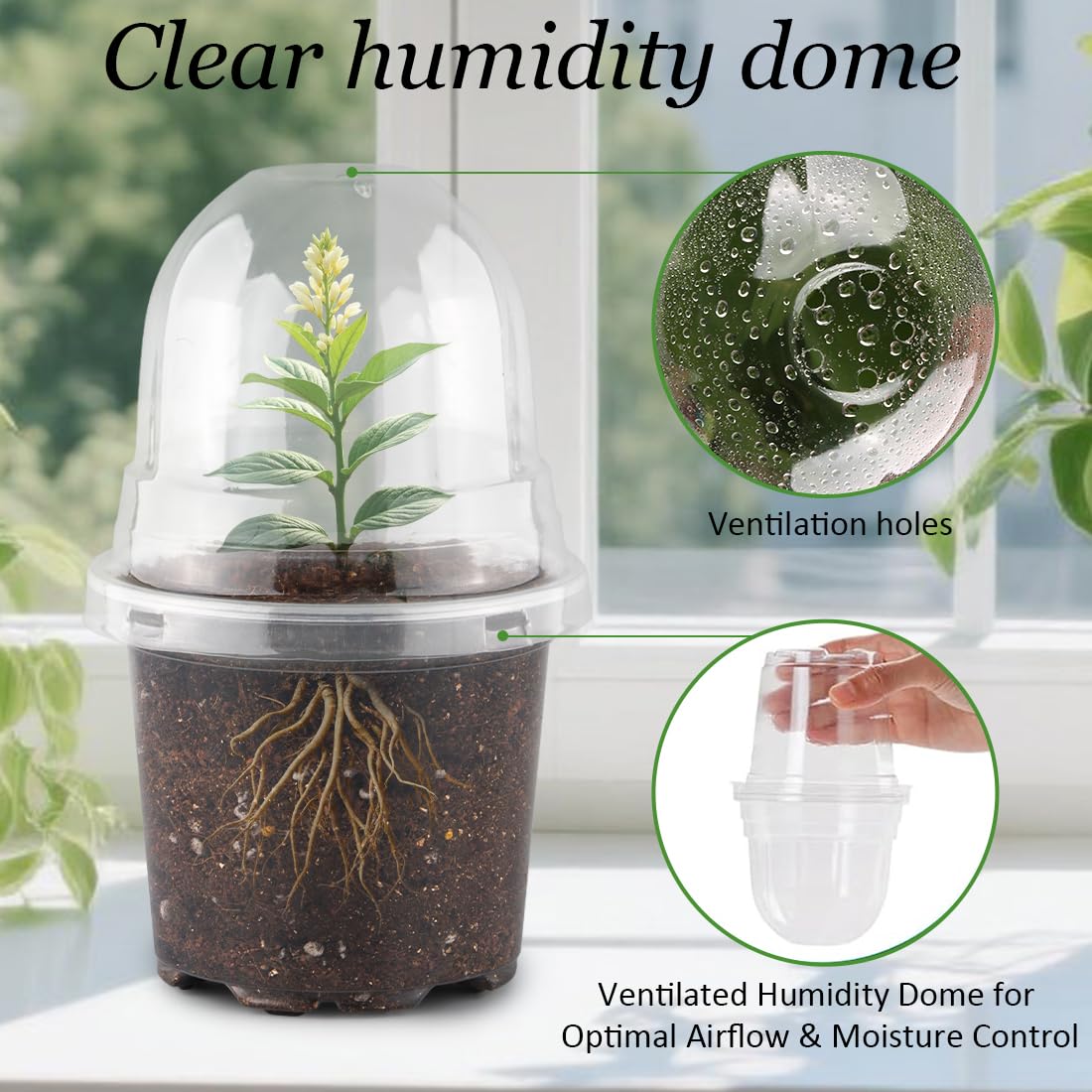 RooTrimmer Transparent Nursery Pots 4Inch with Humidity Domes for Seeds Starting, Clear Plastic Plant Pots with Drainage Holes (4Inch, 30Pcs,Clear Pots with Lids)