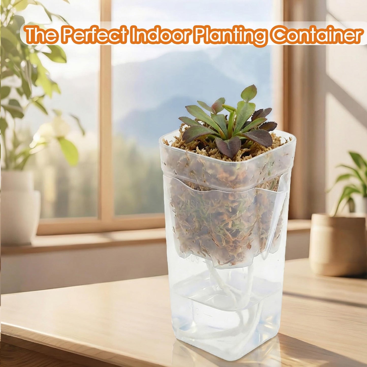 ROJMMFOL 12Pcs Self Watering Pots, 2in Self Watering Pots for Indoor Plants, Mini Clear Plant Pots with Cotton Wick, Double-Layer Design, Perfect for Succulents, Herbs, Green Plants