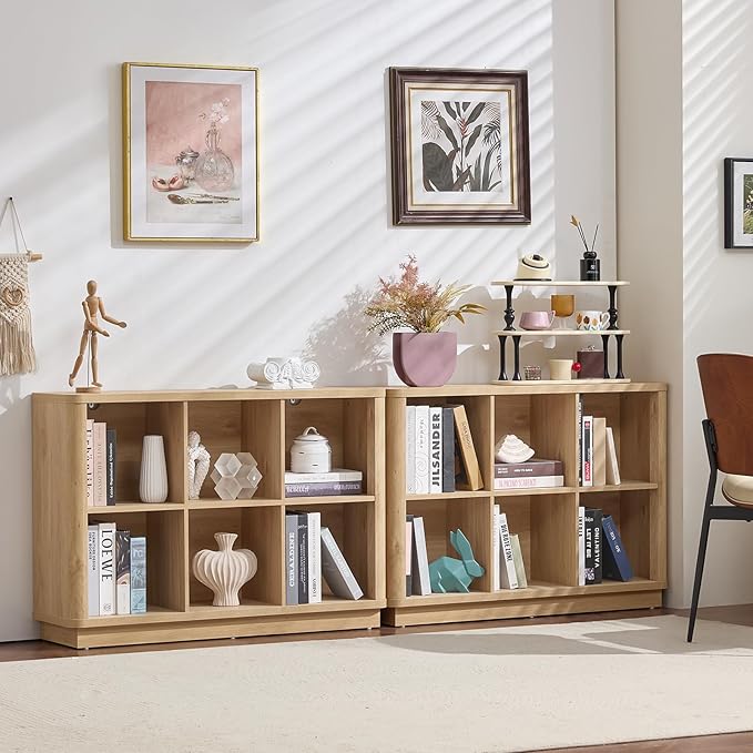 Joaxswe 6 Cube Storage Book Shelf, Floor Standing 2-Tier Wooden Bookshelf