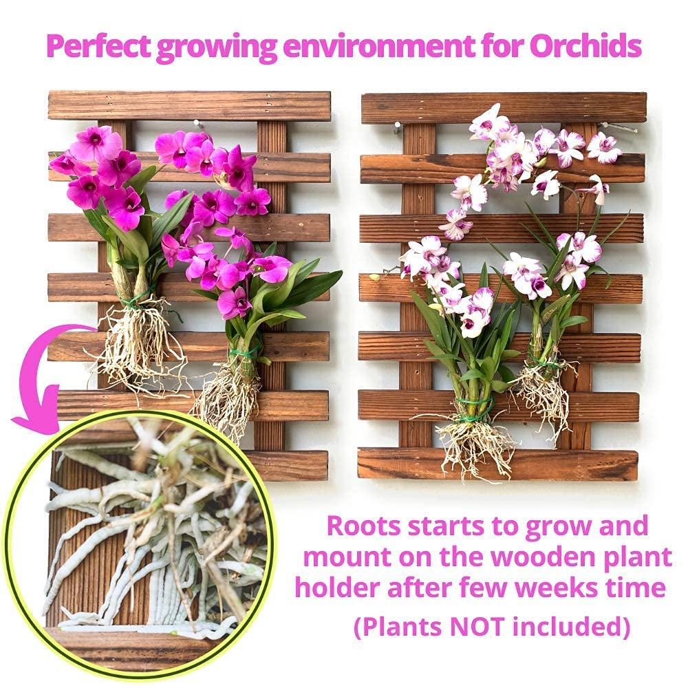 ShopLaLa Wall Planter - 2 Pack Wooden Orchid Planter Frame Display Outdoor Plants, Wall Mount Air Plants Succulent Holder Hanger, Vertical Garden Plant Wall Decor Macetas para Orquideas 15.7" (40cm)