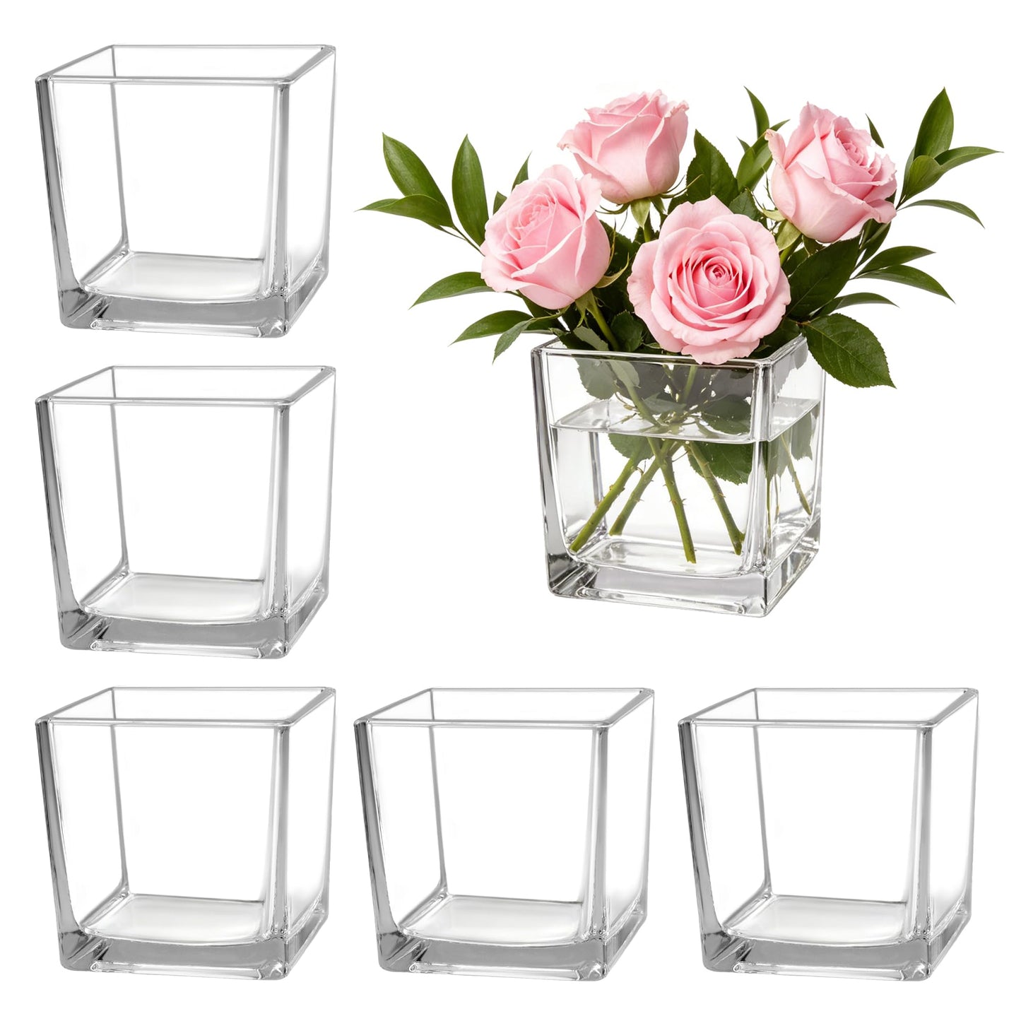 6Pcs Square Clear Glass Vases 5" x 5" x 5", Cube Vase for Centerpiece, Candle Holder Plant Terrarium for Wedding Centerpiece, Office Decorations, Home Decor, Parties