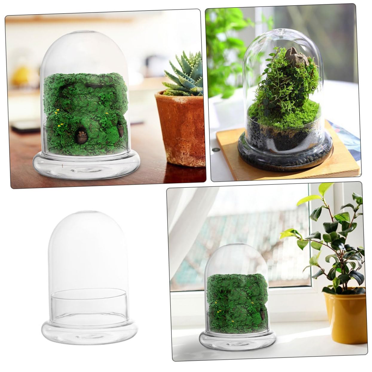 Sosoport Glass Eco Bottle Terrarium Supplies Bell Jar Dome Plant Holder DIY Decor