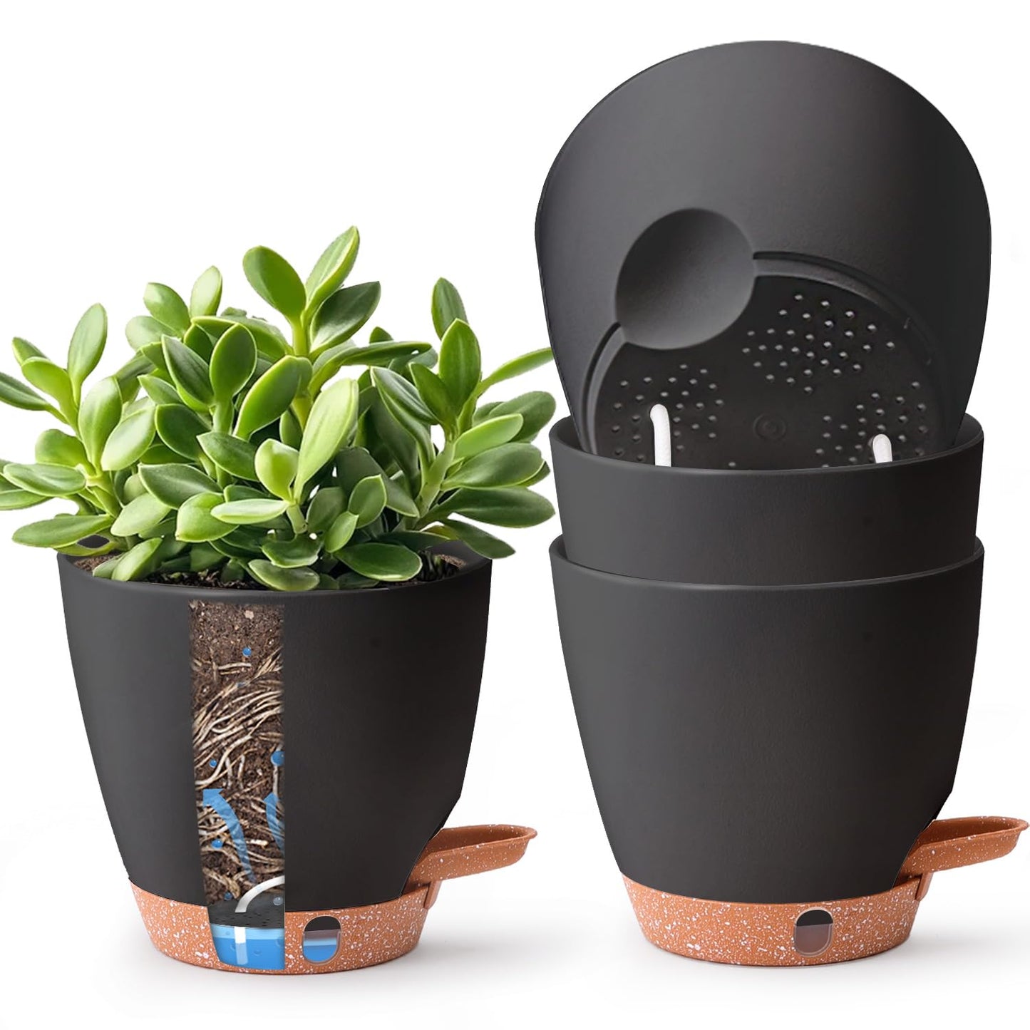 T4U 6 Inch Self Watering Pots for Indoor Plants - Mess-Free Bottom Watering Planter for Herbs/Pothos/Succulent Plants, Indoor Outdoor Use (Black, 4 Pack)