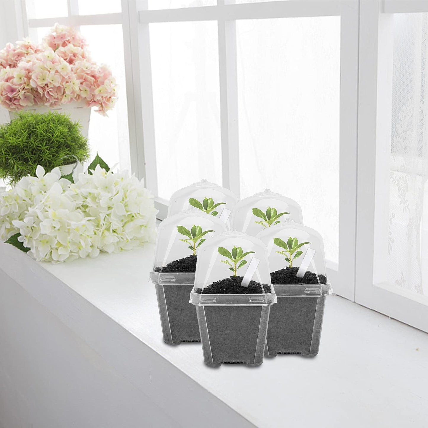 EBaokuup 30PCS Clear Plant Nursery Pots with Humidity Dome - 3" Durable Plastic Gardening Pot, Small Plant Container for Seedlings/Vegetables/Succulents/Cuttings