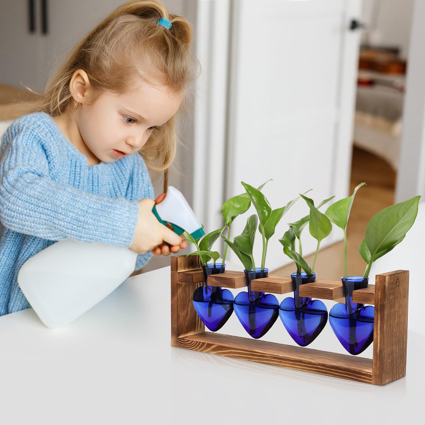 CYZglass Heart Plant Terrarium Kit Gift for Women Plant Lover Glass Vases