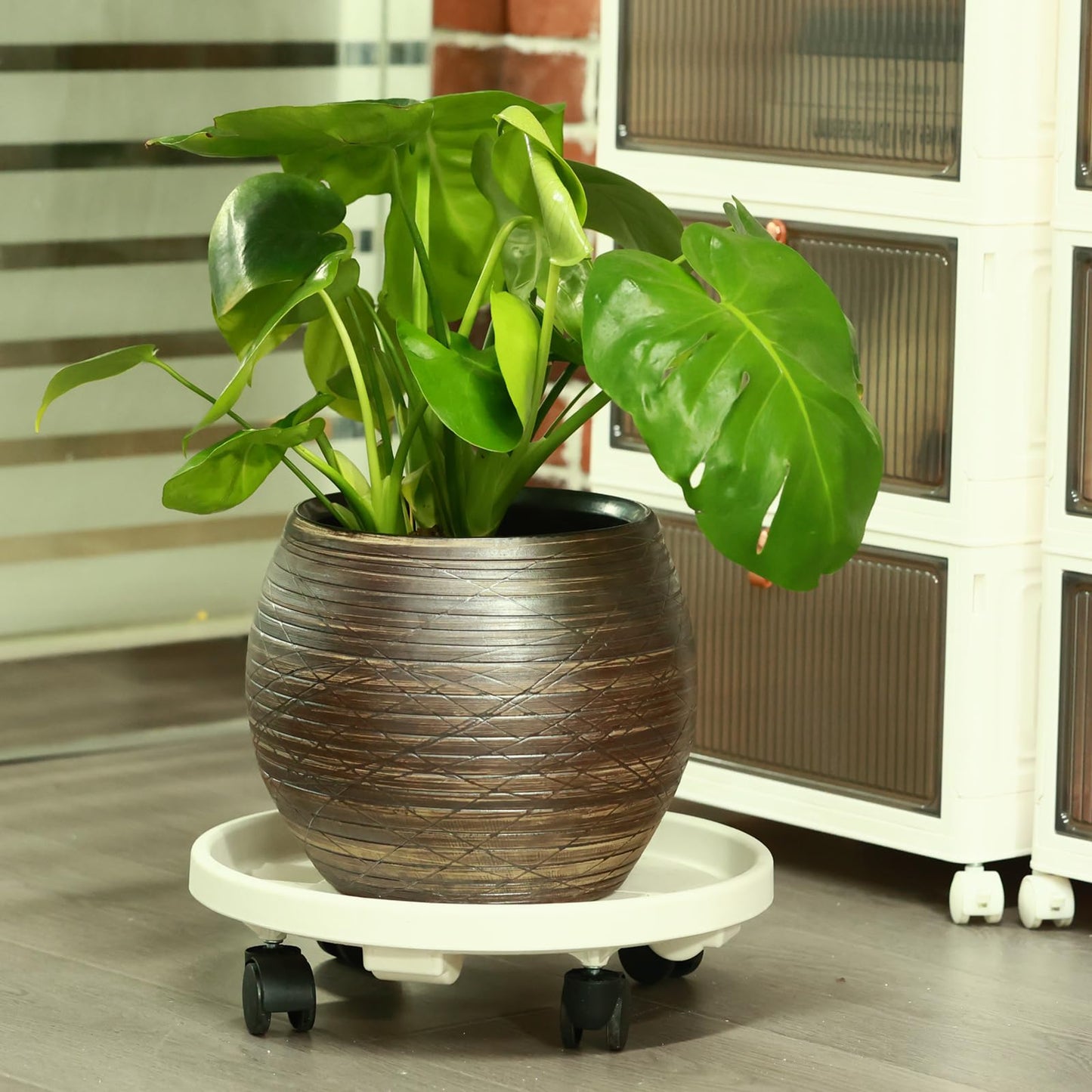 5 Pakcs Large Plant Caddy with Wheels 15.8" Rolling Plant Stands Heavy-duty Plastic Plant Roller Base Pot Movers Plant Saucer on Wheels Indoor Outdoor Plant Dolly with Caster Tray Coaster White