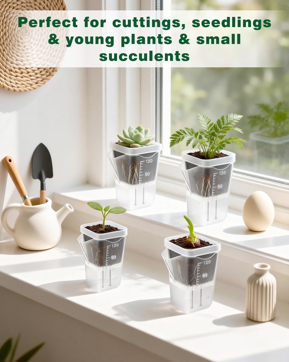 10 Pack 2" Small Self Watering Pots for Indoor Plants, Clear Mini Plastic Planter with Labels,Water Level Indicator, ,Mini Self Watering Pot for African Violet,Semi-Hydro,Propagation,Seeding,Cutting
