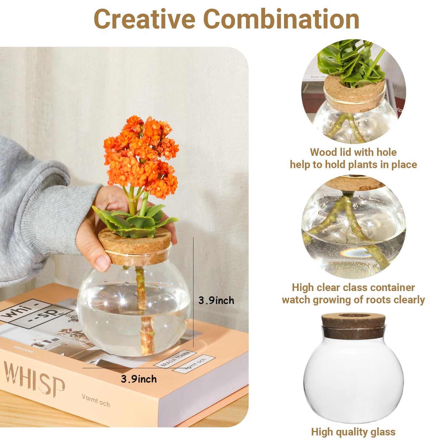 Plant Propagation Station,Hydroponic Terrarium Vase,Desktop Glass Planter Station,for Houses,Garden Decorations,ropagating Hydroponic Plants,Centerpiece Office,Home Garden Decor (4)