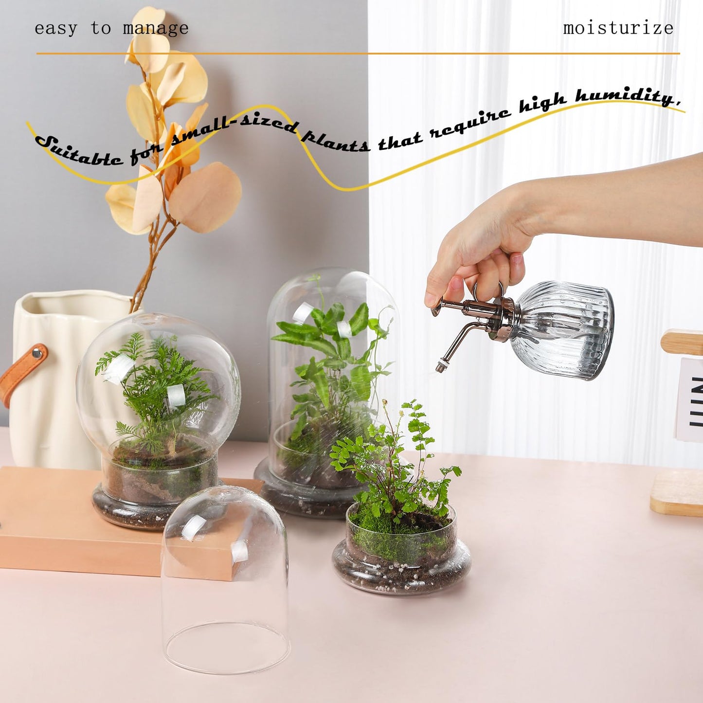 WHJY Round Glass Cloche for Indoor Plants Small Terrarium Glass Cloche with Base Mini Cloche Dome with Base for Display Home Decor
