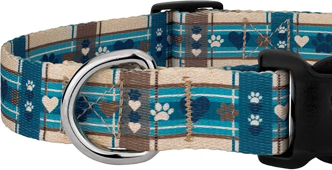 Country Brook Petz - Puppy Picnic Everyday Dog Collar and Leash - Plaid and Argyle Collection Featuring Charming Designs (1 Inch, Medium)