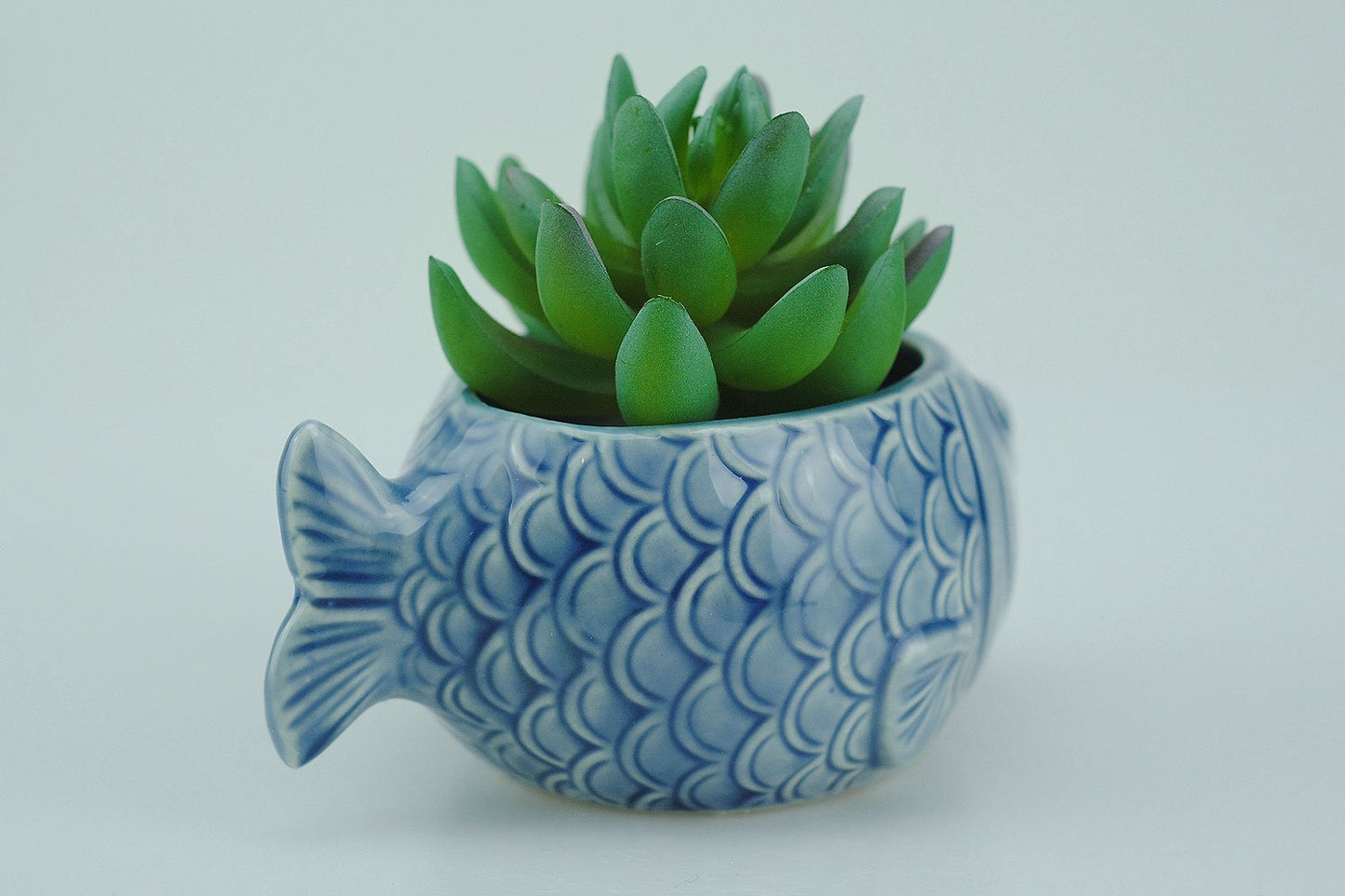 VanEnjoy 5" Ceramic Succulent Pot - Cute Ocean Blue Seashell Series, Conch Shaped Cactus Planter, Flower Pottery Bonsai (Seashell M)