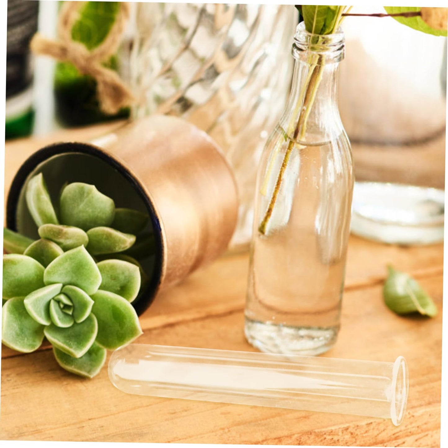 ifundom 4pcs Glass Test Tube Vase Flower Plant Decor for Hydroponic Water Tube Vase Terrarium Decor