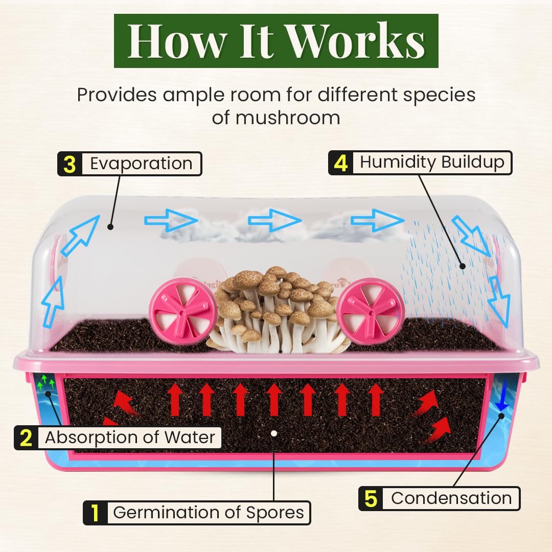 Gro Magik Premium Mushroom Monotub Grow Kit [XLarge, 68Q] Portable and Compact Fruiting Chamber with Plugs, Filters and Adjustable Air Vents, 22.8 x 15.7” x 12”, Pink