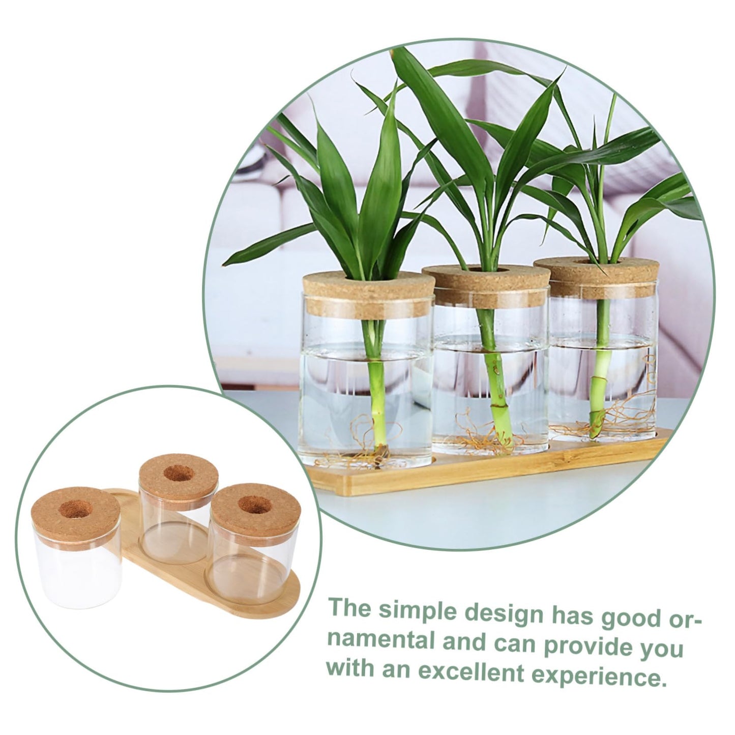 HEMOTON 3-Piece Glass Plant Terrarium Set with Bamboo Stand Hydroponics Planter for Indoor Succulents and Air Plants Decorative Tabletop Vases