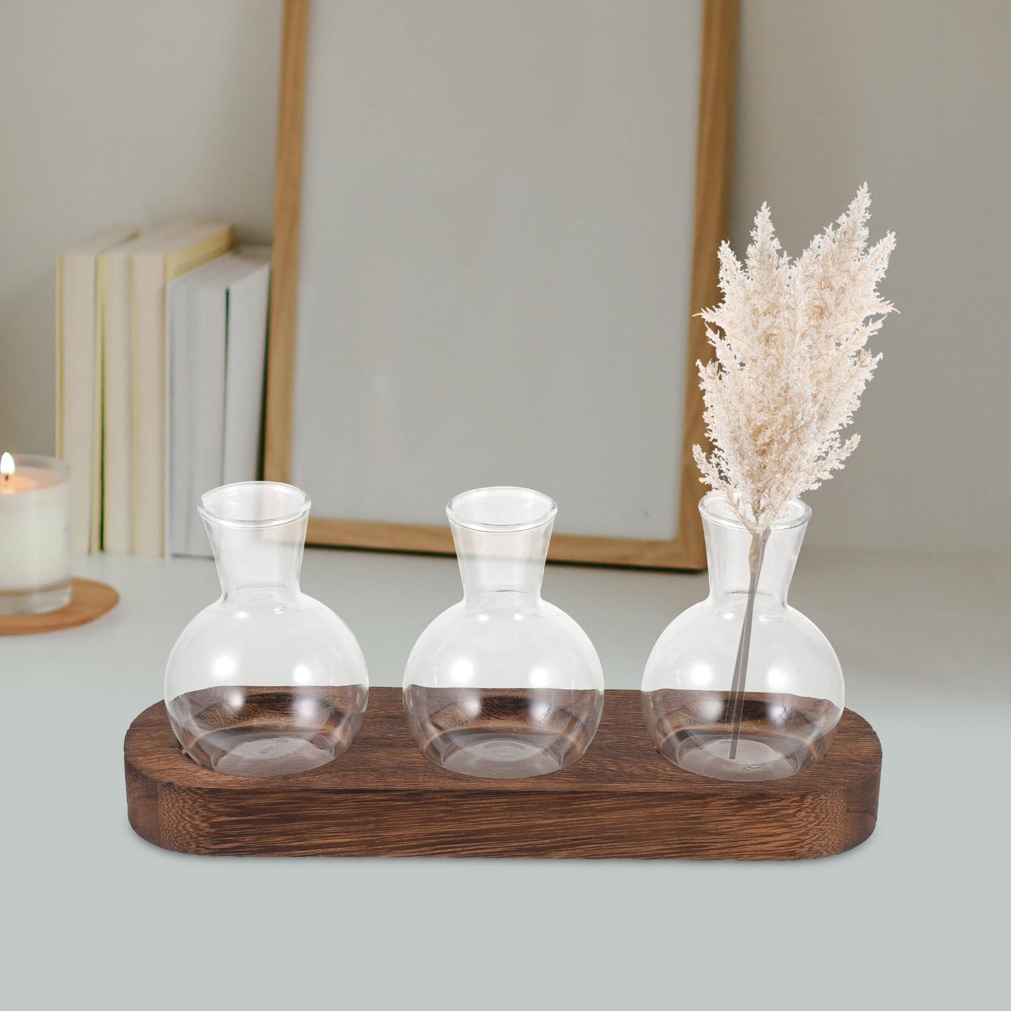 LALAFINA Glass Hyacinth Vase with Wooden Base, Hydroponic Table Glass Flower Container for Office and Living Room Decoration, 3pcs Set Terrarium for Indoor Plants