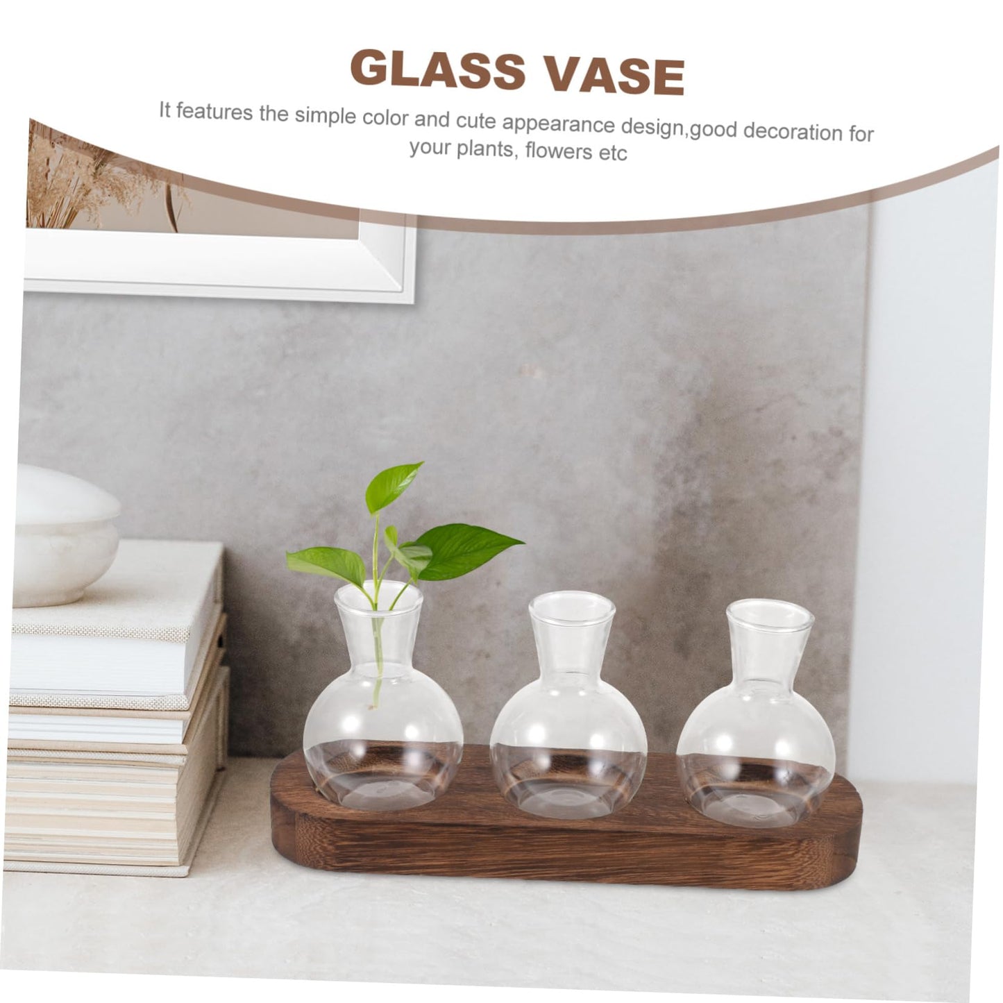FONDOTIN Hydroponic Glass Vase with Wooden Base for Home and Office Decoration Plant Arrangement Container Stylish Desktop Terrarium for Greenery