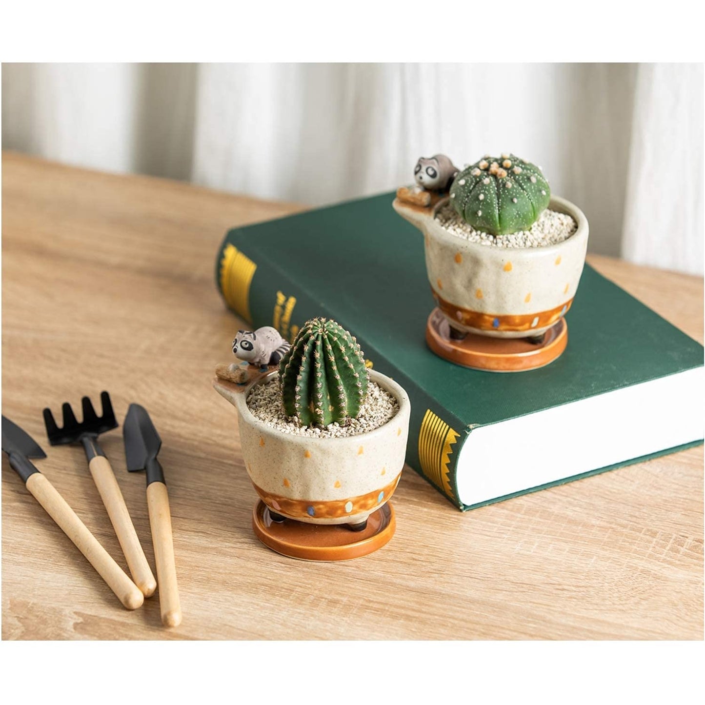 MAKOLO Ceramic Succulent Planter Small Pot with Drainage Hole and Tray for Cactus Flower Plant Container Shelf Home Office Desk Decoration (Raccoon)