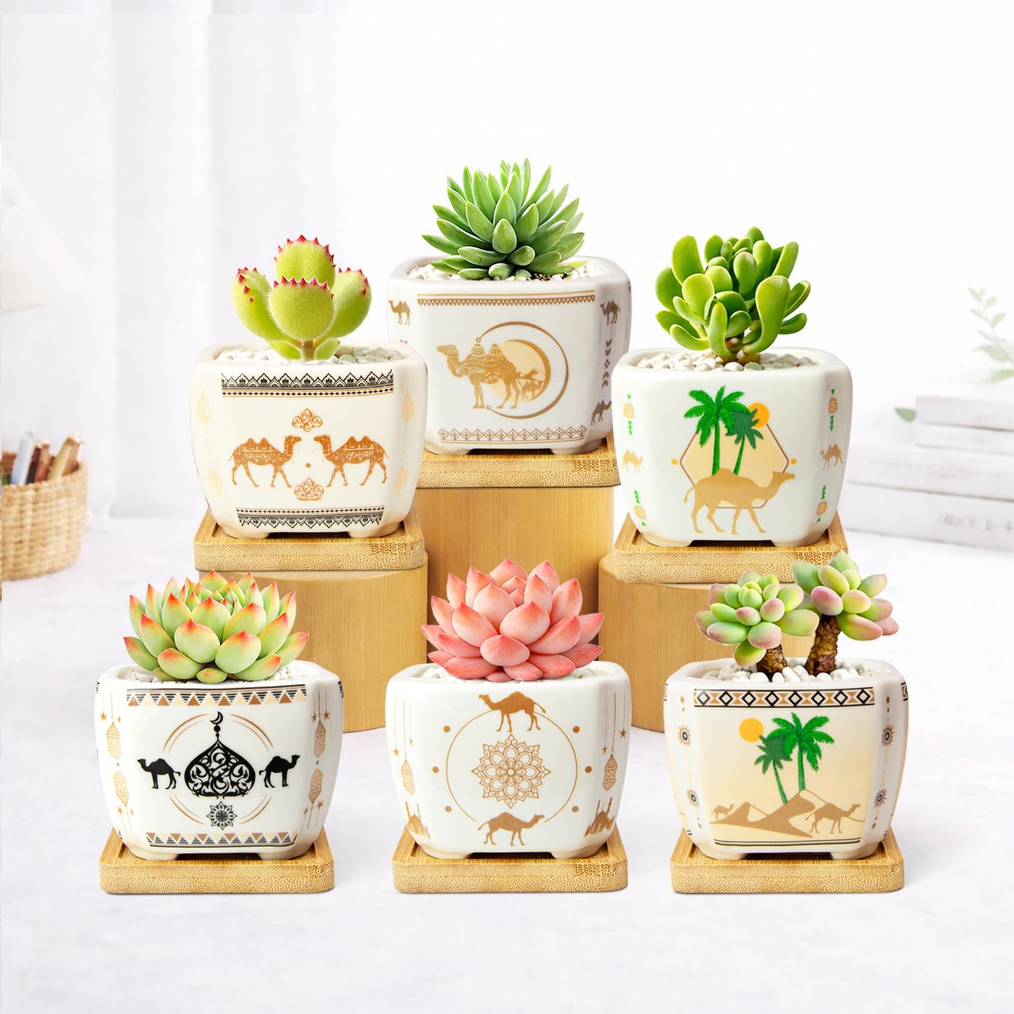 Succulent Pots with Drainage, 3.2" Small Plant Pots with Bamboo Trays, Ceramic Pots for Indoor Plants, Cactus Pots, Mini Succulent Planters for Home Garden Decor, Set of 6