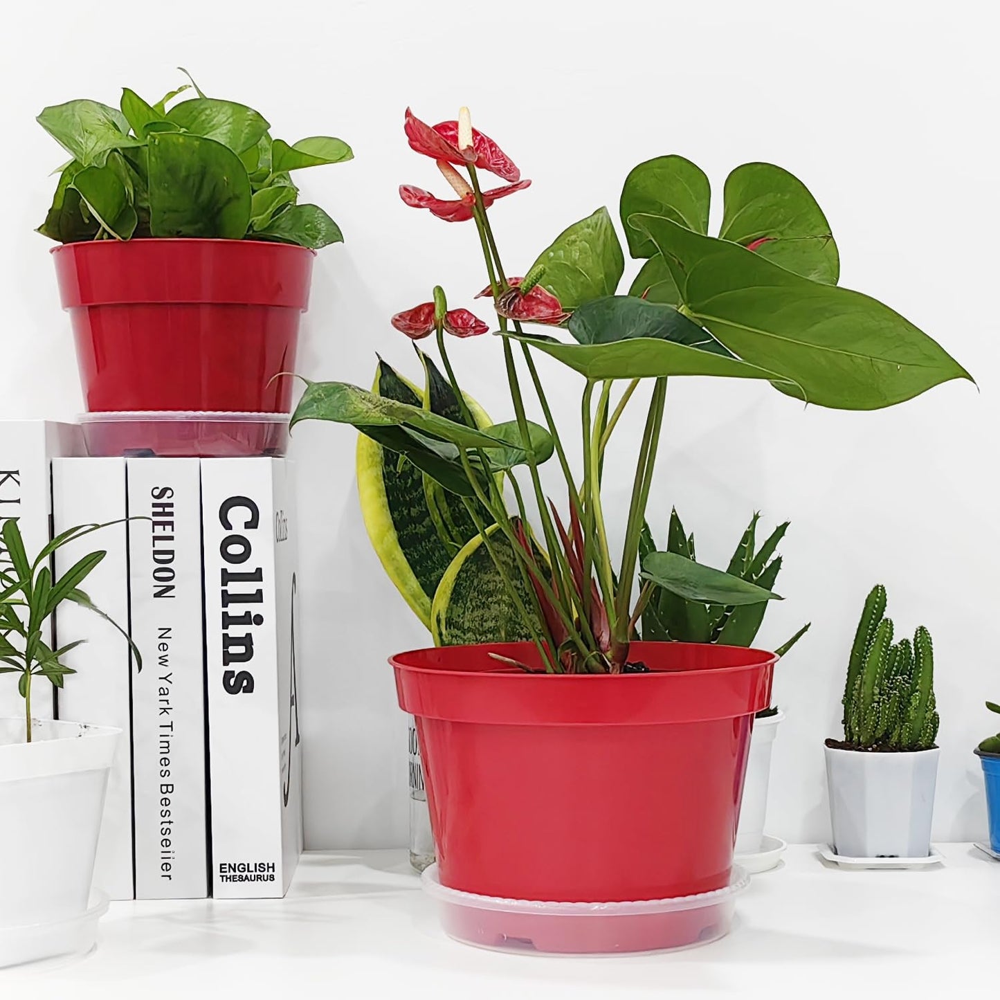 RooTrimmer 8 inch Plastic Flower Pots, Red Plant Pots 12Pack with Saucers for Indoor House Plants Growing and Decoration